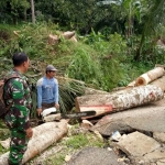 Musibah banjir dan longsor yang mengharuskan banyak warga direlokasi.