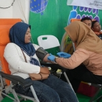 Petugas dari PMI saat mengambil darah dari para pendonor. (Ist).