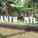 Wisata Alam Banyu Mili Wonosalam.

