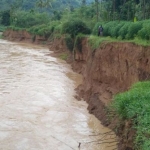 Kondisi tanggul Sungai Grindulu di Dusun Ngawen, Desa Semanten yang terus tergerus akibat meningkatnya debit air.