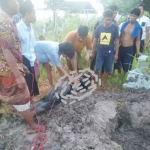 PIW saat ditangkap warga karena nekat membongkar makam di Desa Konang, Kecamatan Galis, Kabupaten Pamekasan.
