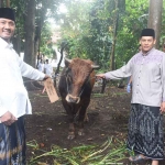 Wali Kota Kediri, Abdullah Abu Bakar (kanan), saat menyerahkan hewan kurban. Foto: Ist