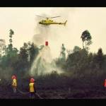 Sejumlah petugas terus berusaha memadamkan api yang membakar kawasan hutan di Riau.