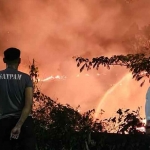 Ilustrasi. Foto: Ist