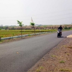 TKP jambret di Jalan Dusun Mojokemuning, Desa Sidomojo, Kecamatan Krian tampak lengang.