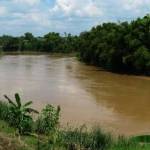 MASIH AMAN: Sungai Bengawan Solo yang melintasi Lamongan.