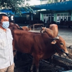 Rumah Potong Hewan Pemkot Surabaya. (foto: ist).