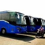 GRATIS - Bus Trans Sidoarjo yang akan diuji coba oleh Dishub
