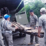 Petugas Satpol PP Kota Kediri saat mengamankan barang bukti berupa tangga yang digunakan para penambang. foto: MUJI HARJITA/ BANGSAONLINE