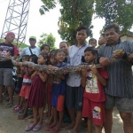 Ular berukuran 3 meter saat ditontonkan ke warga. foto: RONY S/ BANGSAONLINE