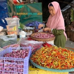 Harga bawang merah, cabai, dan telur di Gorontalo hari ini alami lonjakan. Foto: Sulthon/Bangsaonline.