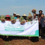 Manajemen PT UTSG foto bersama Pengurus BUMDes Karya Makmur Santosa dan para petani saat panen bawang merah.