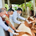 Mentan, Syahrul Yasin Limpo, bersama Bupati Gresik, Fandi Akhmad Yani, saat meninjau ternak sapi di Desa Sembung, Kecamatan Wringinanom. Foto: SYUHUD/BANGSAONLINE