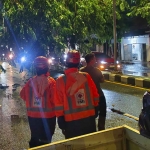 Petugas dari BPBD Sidoarjo saat mengevakuasi pohon tumbang.
