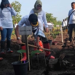 Kadivre Perhutani Jatim, Asep Dedi Mulyadi saat melakukan penanaman pohon jati. Foto : Hendro Suhartono/BANGSAONLINE.com 