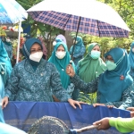 Ketua TP PKK Kota Pasuruan Hj. Fatma Saifullah Yusuf saat meninjau budi daya ikan menggunakan bioflok di salah satu kelurahan peserta lomba.