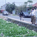 LIHAT: Cabup Sidoarjo Bambang Haryo Soekartono (BHS) saat melihat tumpukan sampah dan eceng gondok di Sungai Jumputrejo, Kecamatan Sukodono, (6/10/2020). (foto: ist).