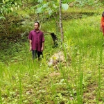 Sujito (tengah) saat menunjukkan lahan tanam baru di Desa Timahan, Kec. Kampak, Kab. Trenggalek. foto: HERMAN/ BANGSAONLINE