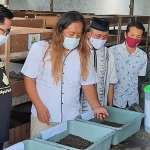 Andik Murai Jogja saat menjelaskan terkait budidaya maggot kepada Dhito. (foto: MUJI HARJITA/ BANGSAONLINE)