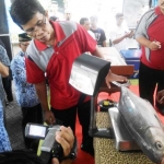 JUMBO: Bandeng kawak ditimbang saat Lomba Bandeng Kawak Tradisional, di Kantor Dinas Perikanan, Desember 2016 lalu. foto: MUSTAIN/ BANGSAONLINE