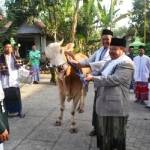 Bupati MadiunH Muhtarom SSos menyerahkan sapi kurban kepada panitia di Masjid Al-Basmallah. Foto:dhanny/BangsaOnline