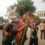 Menpora naik kuda dan diarak oleh warga kampung Kedungcangkring Sidoarjo Jawa Timur. Foto: m mas