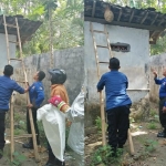 Petugas Damkar Kabupaten Blitar saat mengevakuasi sarang tawon ndas atau tawon vespa di atap kamar mandi warga Desa Gledug, Sanankulon, Kabupaten Blitar, Kamis (5/12/2019).