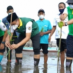 Penanaman mangrove di Pantai Kelurahan Panggungrejo Kota Pasuruan, Sabtu (20/3).