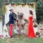 beginilah prosesi pernikahan dengan saksi beruang. foto: repro mirror.co.uk