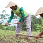 Masyarakat di Desa Soso, Kecamatan Gandusari, Kabupaten Blitar.