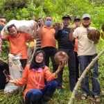 Panen Porang di Desa Sidomulyo Kecamatan Pule, Kabupaten Trenggalek. foto: HERMAN/ BANGSAONLINE