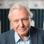 Sir David Attenborough, berawal dari hati. foto: repro standard.co.uk