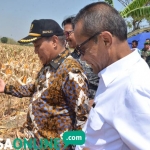 Kepala Badan Ketahanan Pangan Kementan Agung Hendriyadi didampingi Bupati Fadeli.