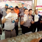 Kapolres Banyuwangi bersama petugas karantina sedang menunjukan barang bukti baby lobster.