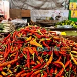 Cabai rawit kembali menjadi komoditas yang mengalami peningkatan paling signifikan. Foto: Bangsaonline.