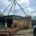 Bongkahan kayu dari penebangan pohon sonokeling secara liar saat hendak diamankan sebagai barang bukti.