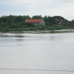 Kondisi debit air sungai Bengawan Solo. foto: syuhud/ bangsaonline