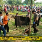 Polisi melakukan olah TKP pembunuhan. foto: RONY S/BANGSAONLINE