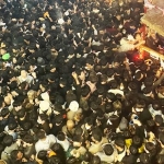 Crowd Crush. Foto: Ist