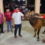 Indah Kurnia saat menyerahkan hewan kurban sapi di Desa Penambangan, Kecamatan Balongbendo, Sidoarjo. Foto: Ist