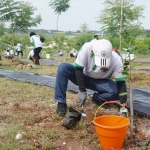 Pada puncak peringatan Bulan K3 kali ini menggelar kegiatan dengan bertajuk Mining Safety Days.