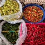 Harga cabai merah keriting di Aceh hari ini turun drastis. Foto: Sulthon/Bangsaonline.