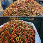Harga cabai rawit di Jatim semakin melejit. Foto: Sulthon/Bangsaonline.