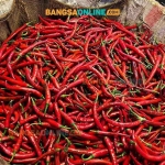 Cabai fluktuatif, cek harga lengkap sembako Jatim hari ini. Foto: Bangsaonline.