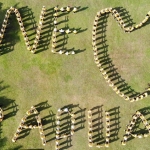 Barisan anggota Polres Blitar membentuk kalimat "We Love Papua".