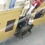 Momen banteng menyeruduk Sofia Lopez hingga perutnya ambrol. foto: repro mirror.co.uk
