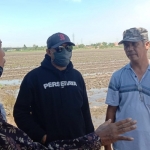 SIDAK LAHAN: Ketua Pansus RTRW Tarkit Erdianto (tengah) mengunjungi lahan di Desa Kedungsolo, Porong, yang diusulkan menjadi zona kuning, Sabtu (11/7). foto: ist.