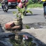 Warga Dusun Banar Desa Pilang Kecamatan Wonoayu meletakan pot bunga tengah jalan sebagai bentuk protes jalan rusak yang tak segera diperbaiki, kemarin. foto : khumaidi/BANGSAONLINE