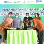 Penandatanganan MoU Kerja Sama Agro Solution antara Petrokimia Gresik dengan BRI Kanwil Surabaya. foto: ist.