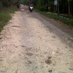 Jalan berpaving di Desa Temu, Kecamatan Kanor, Bojonegoro diurug pedel. Foto: Eky Nurhadi/BangsaOnline.com